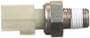 Standard Ignition 1 Terminal Oil Pressure Switch