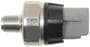 Standard Ignition 1 Terminal Oil Pressure Switch