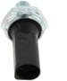 Standard Ignition 1 Terminal Oil Pressure Switch