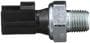 Standard Ignition 1 Terminal Oil Pressure Switch