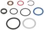Standard Ignition Fuel Injector Seal Kit