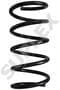 Suplex Coil Spring