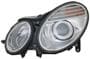 TYC Head Lamps