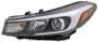 TYC Head Lamps