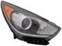 TYC Head Lamps